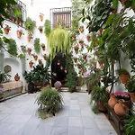 Steps From Alcazar Mosque. Heart Of St Basilio *