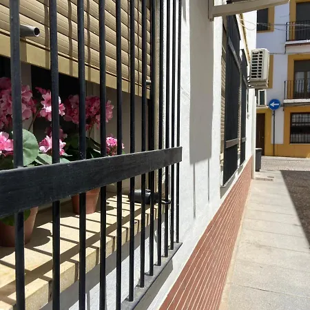 Despertar En San Basilio Cordoba