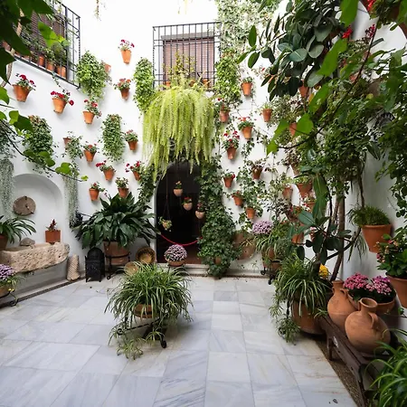 Steps From Alcazar Mosque. Heart Of St Basilio Apartment *