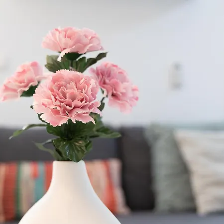 Apartment Steps From Alcazar Mosque. Heart Of St Basilio Cordoba