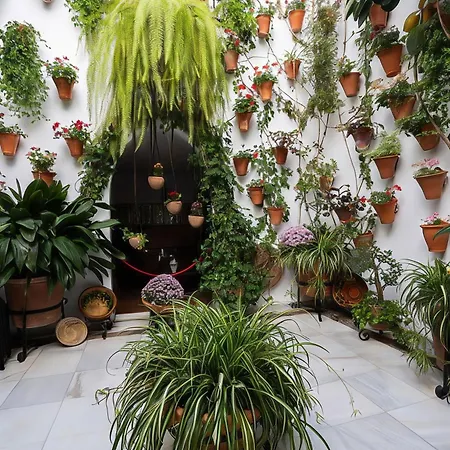 Steps From Alcazar Mosque. Heart Of St Basilio Cordoba