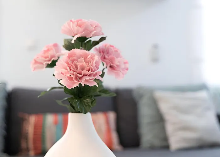 Steps From Alcazar Mosque. Heart Of St Basilio קורדובה