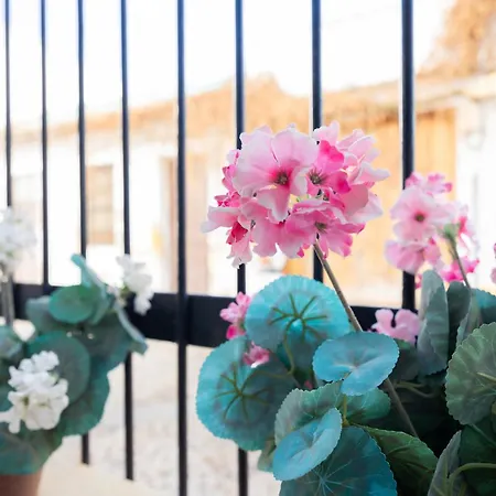 Steps From Alcazar Mosque. Heart Of St Basilio شقة *