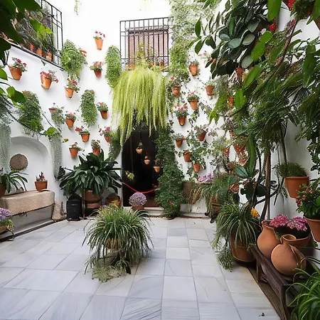 Steps From Alcazar Mosque. Heart Of St Basilio Апартаменти Кордова